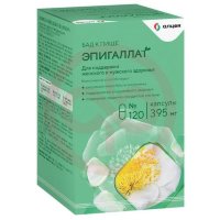 Эпигаллат капсулы 395мг №120