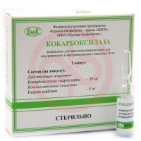 Кокарбоксилаза лиофилизат для приготовления раствора для внутривенного и внутримышечного введения 50мг №5