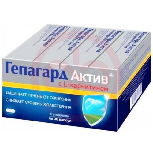 Гепагард актив капсулы №30х4 (мини-бокс) Гепагард актив капсулы №30х4 (мини-бокс)
